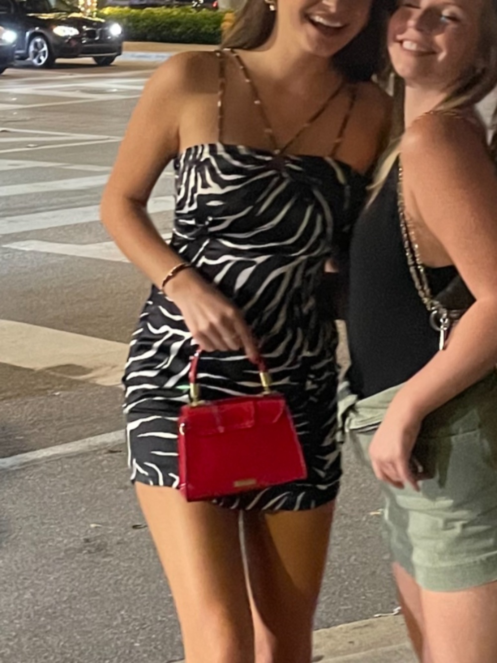 ZARA zebra dress